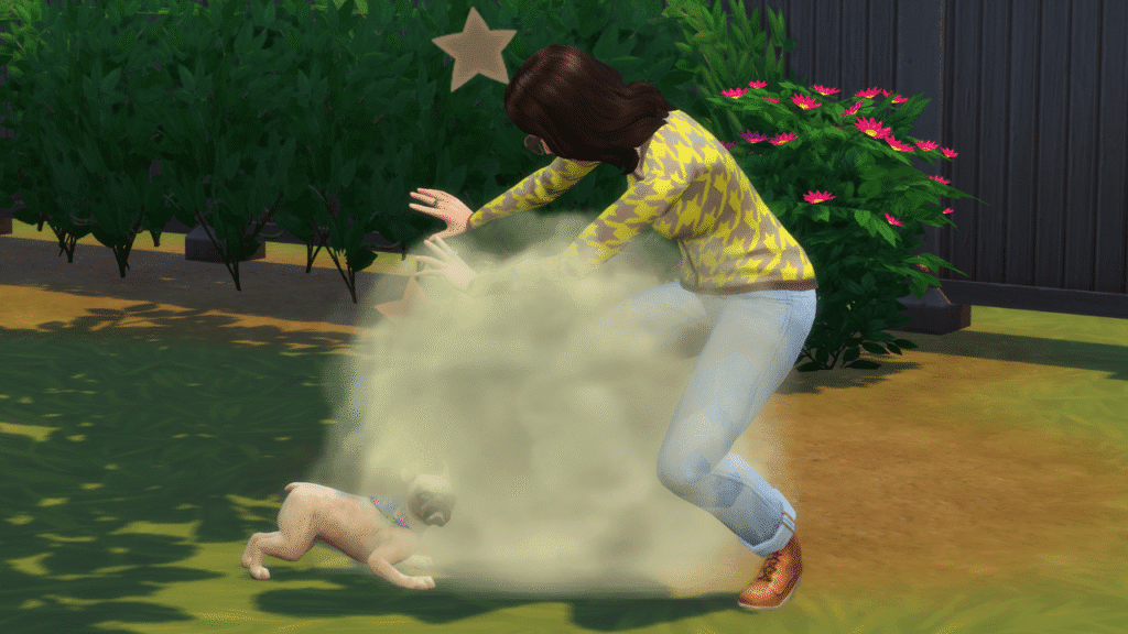 A screenshot from The Sims 4 showing a French Bulldog attacking a sim 