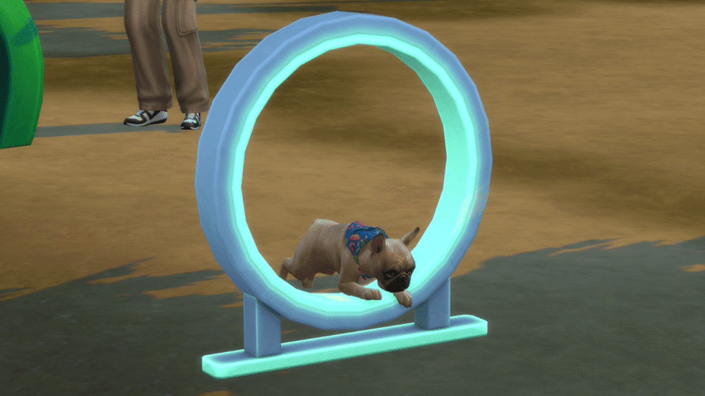 A screenshot from The Sims 4 showing a dog jumping through a hoop 