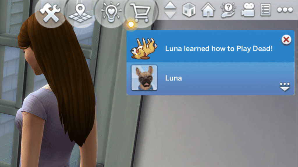 A screenshot from The Sims 4 showing a notification where a sim taught their dog to play dead