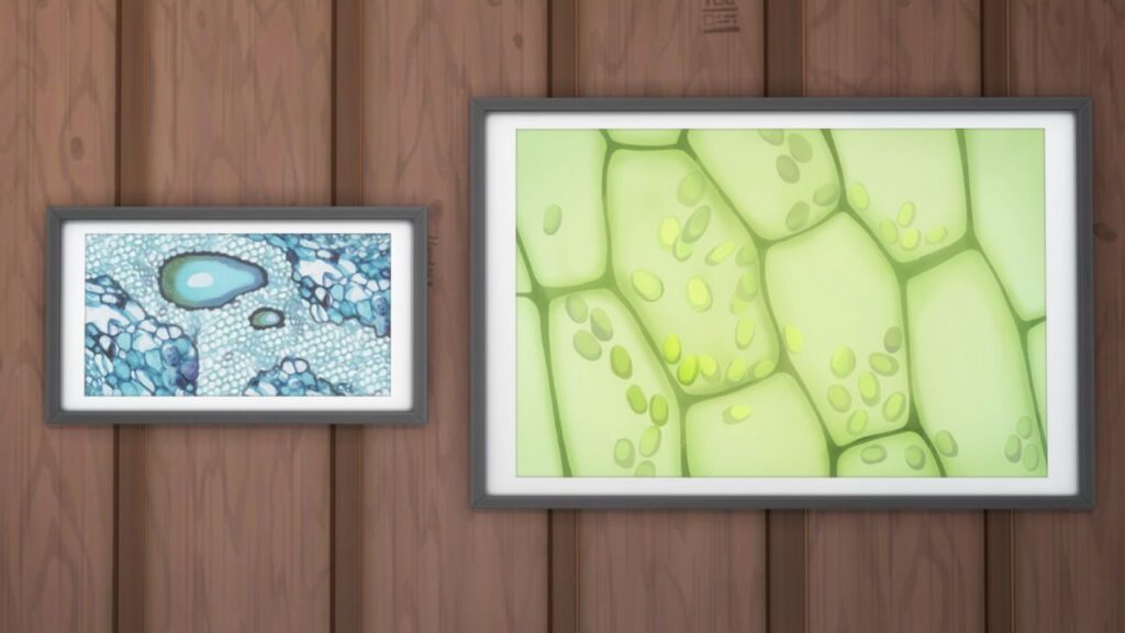 A screenshot from The Sims 4 of two microscope prints 
