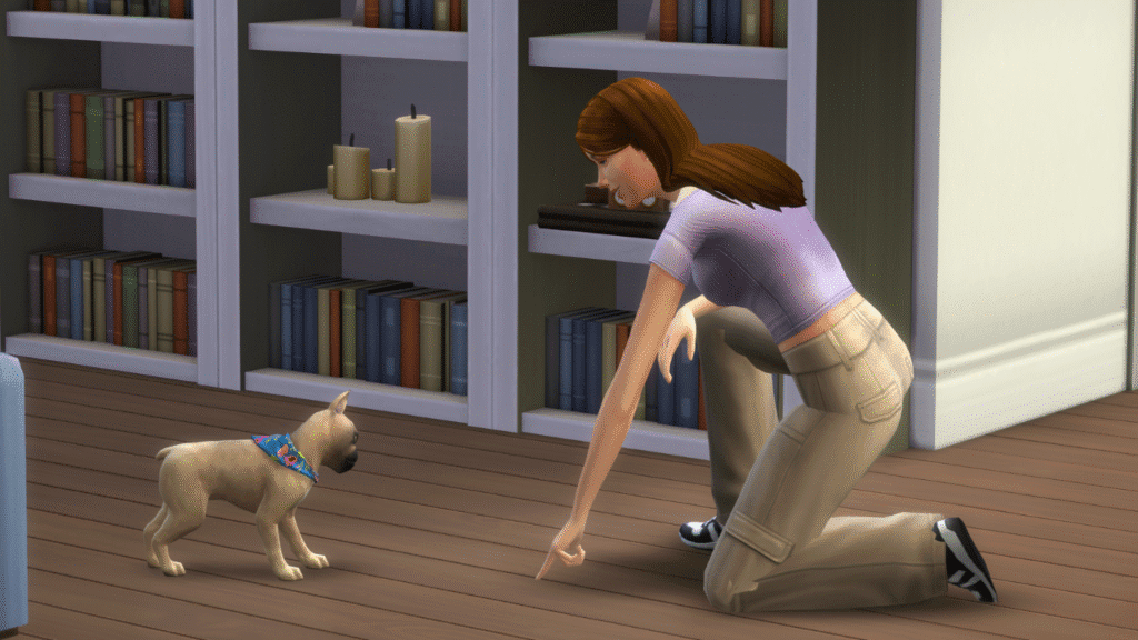 A screenshot from The Sims 4 showing a sim in a purple shirt training a French Bulldog 