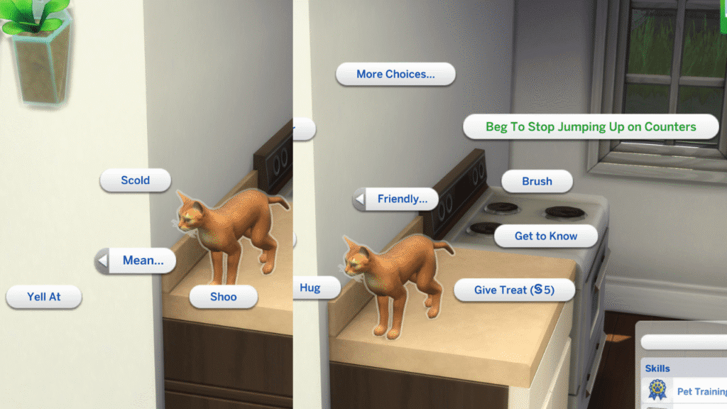 A screenshot from The Sims 4 showing the option to beg a cat to stop jumping on the counter 