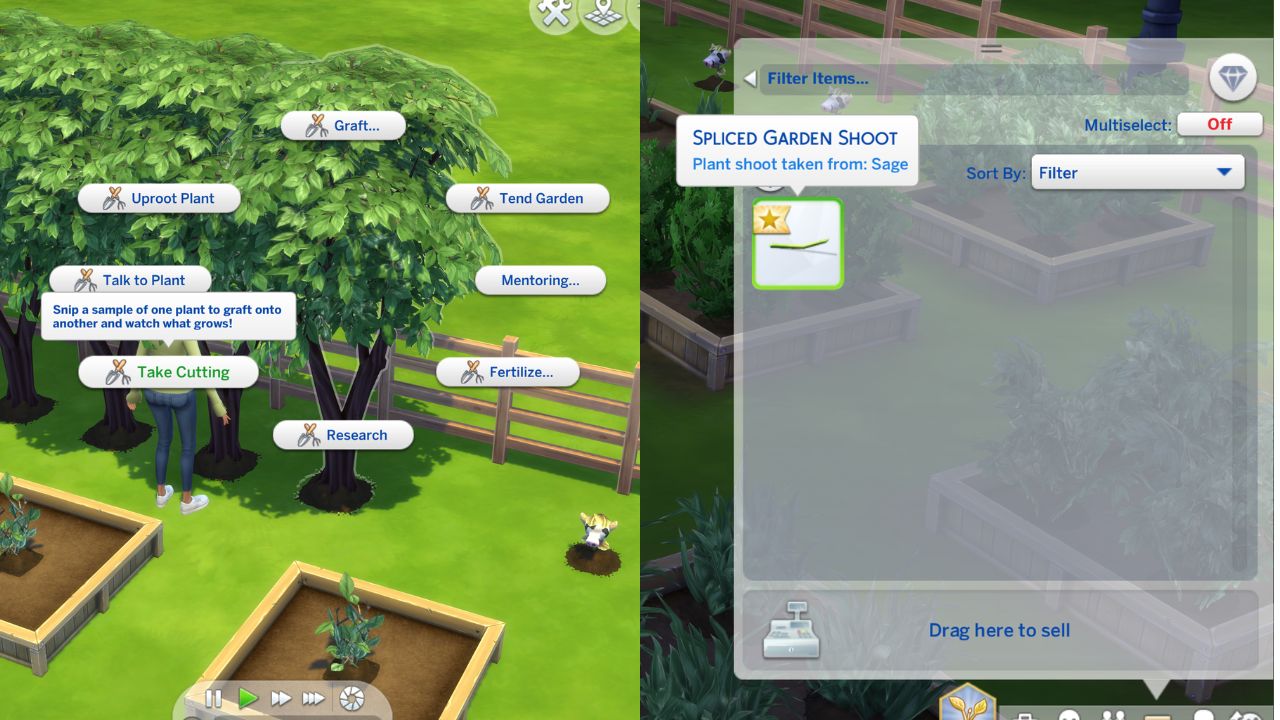How to Graft onto Plants in The Sims 4 - Simming Simplified