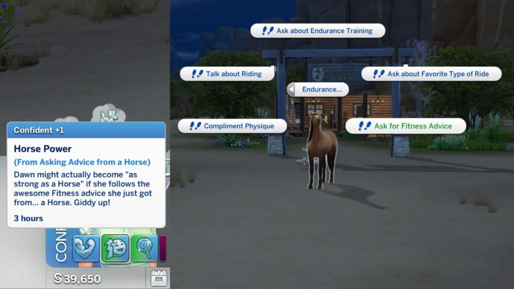 A screenshot from The Sims 4 showing that you can ask a horse for fitness advice 