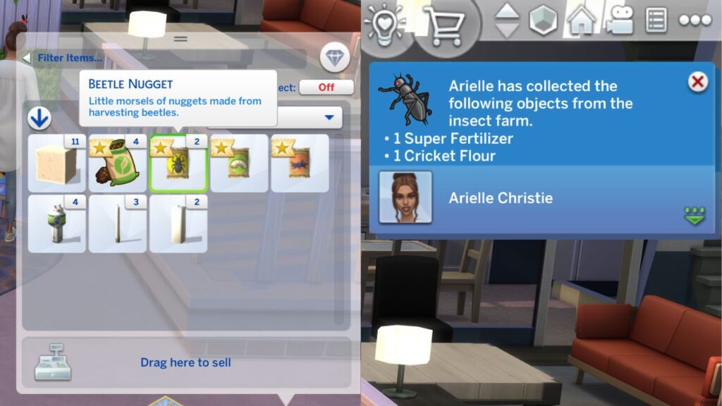 A screenshot from the sims 4 showing the notification you get by collecting beetles