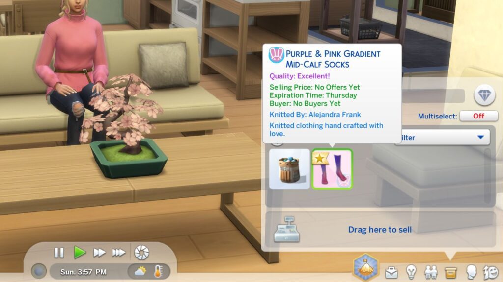 A screenshot showing a sock plopsy listing in a sim's inventory