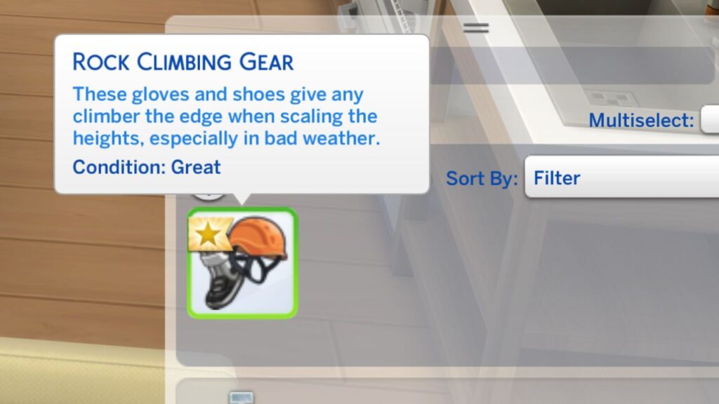 A screenshot from the sims 4 showing the rock climbing gear in a sim's inventory 