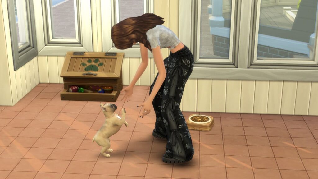 A screenshot from The Sims 4 of a sim playing with their dog