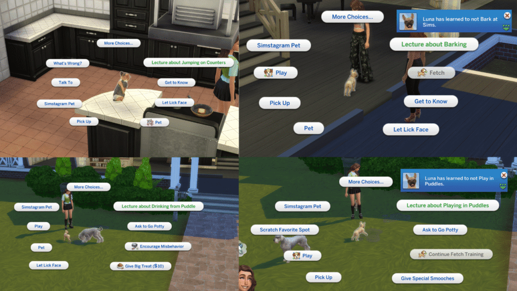 A screenshot from The Sims 4 showing the different pet misbehaviours that you can train out