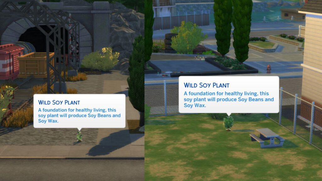 A screenshot from The Sims 4 of locations of wild soy plants