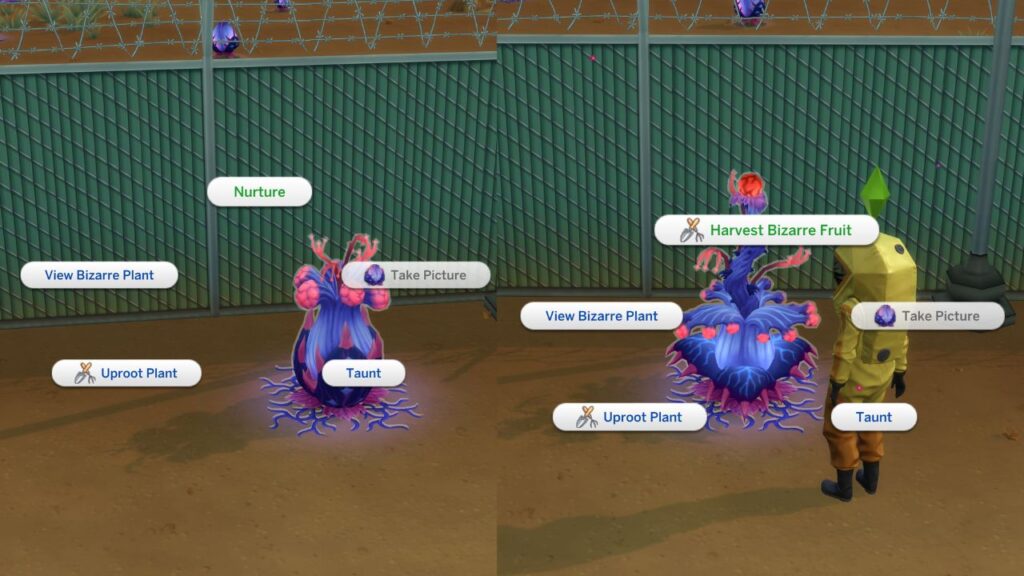 A screenshot from The Sims 4 showing how to get bizarre fruit