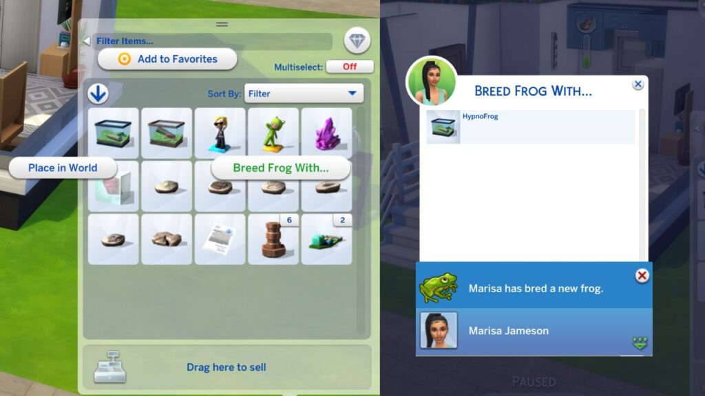 A screenshot from The Sims 4 showing how to breed frogs together