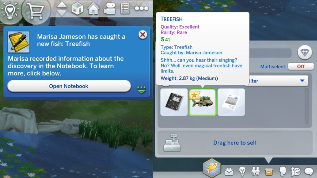 A screenshot from The Sims 4 showing the notification you get when you catch a new fish and the fish in the inventory