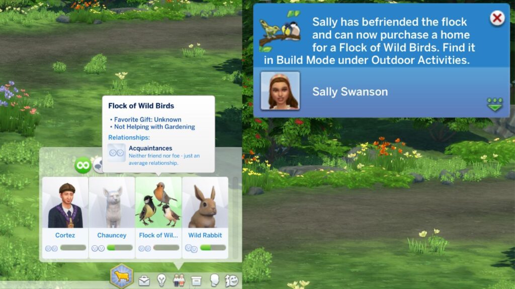 A screenshot from The Sims 4 showing a sim's relationship with a flock and the notification you get when you befriend them