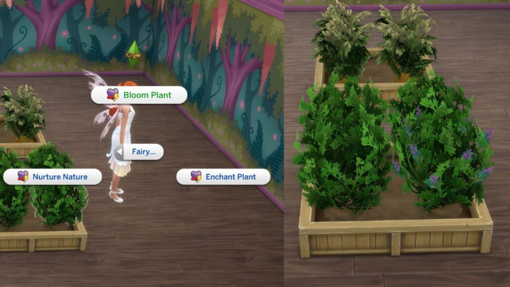 A screenshot from The Sims 4 showing the option to bloom a plant