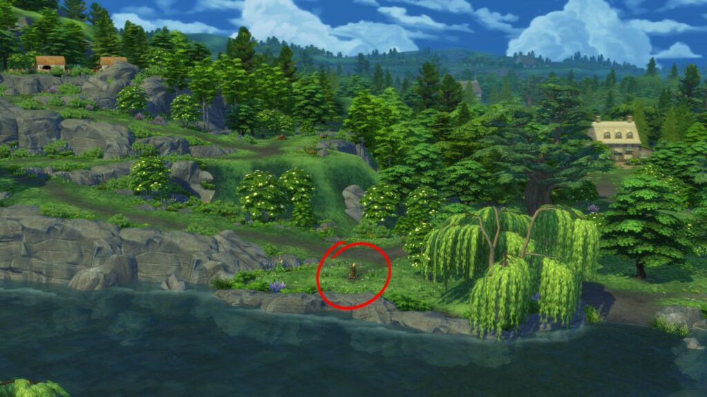 A screenshot from The Sims 4 showing the location of a wild bird home at the bottom of the hill in the bramblewood