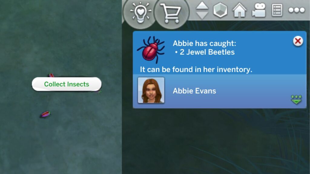 A screenshot from The Sims 4 showing the option to collect insects for jewel beetles