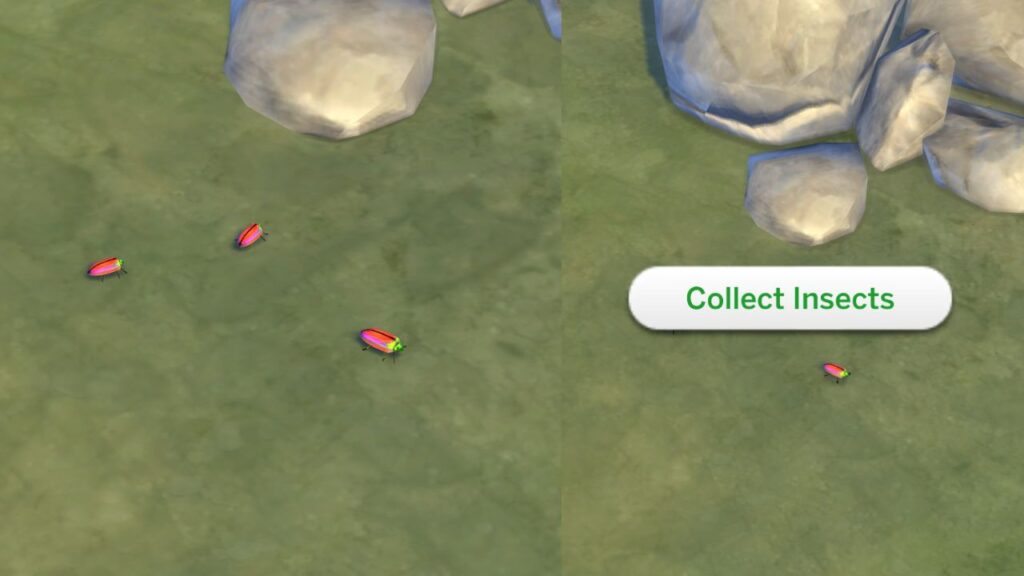 A screenshot from The Sims 4 showing a group of three jewel beetles on the ground and the option to collect insects highlighted 