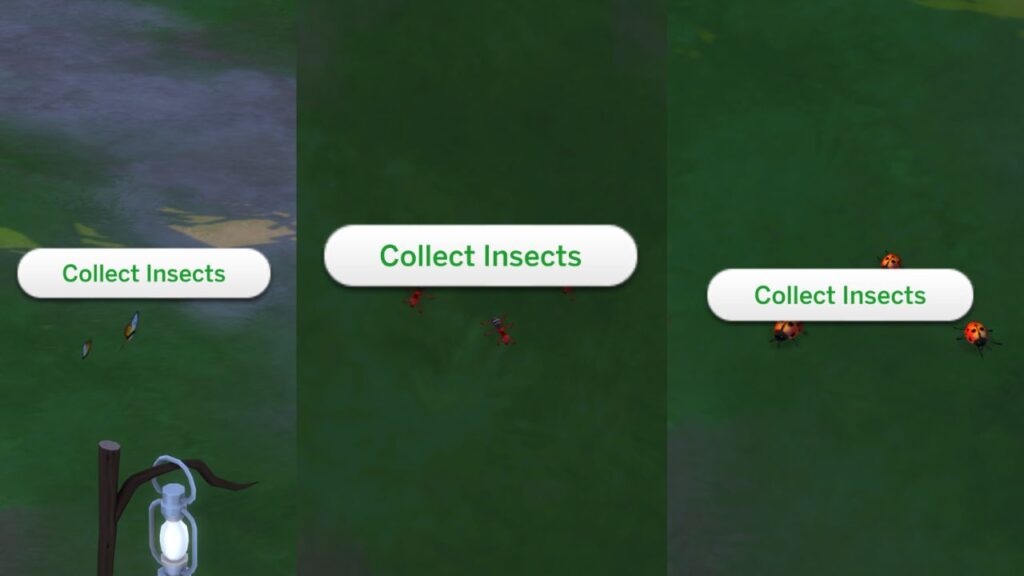 A screenshot from The Sims 4 showing different insects you can collect