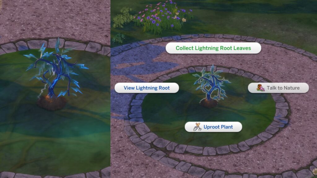 A screenshot from The Sims 4 showing where to find lightning root leaves
