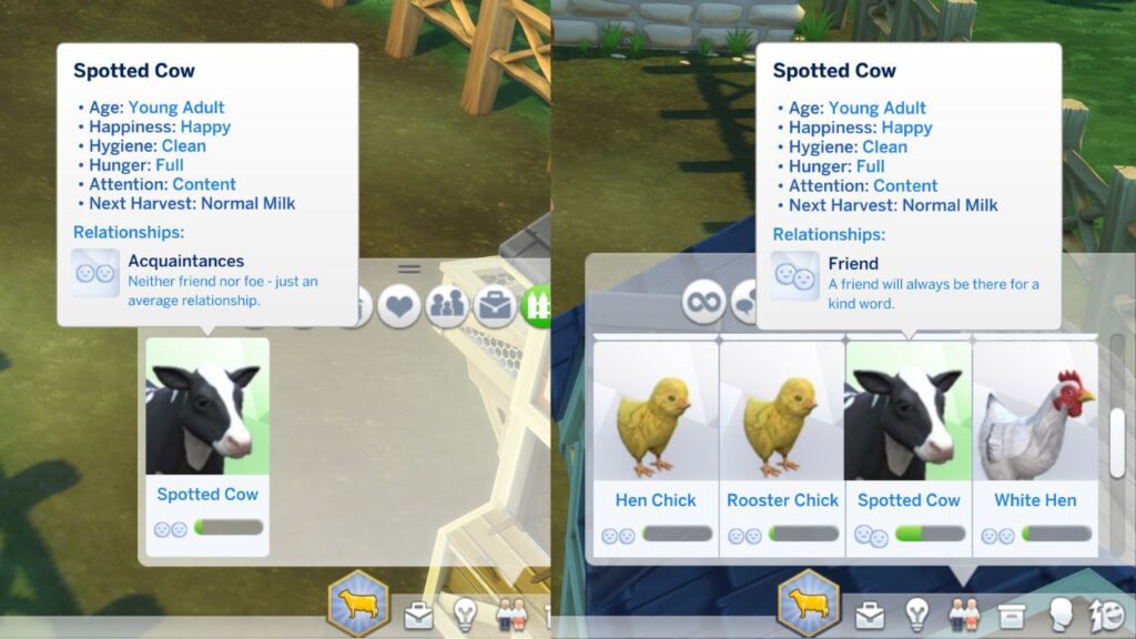 A screenshot from The Sims 4 showing the relationship panel for a cow