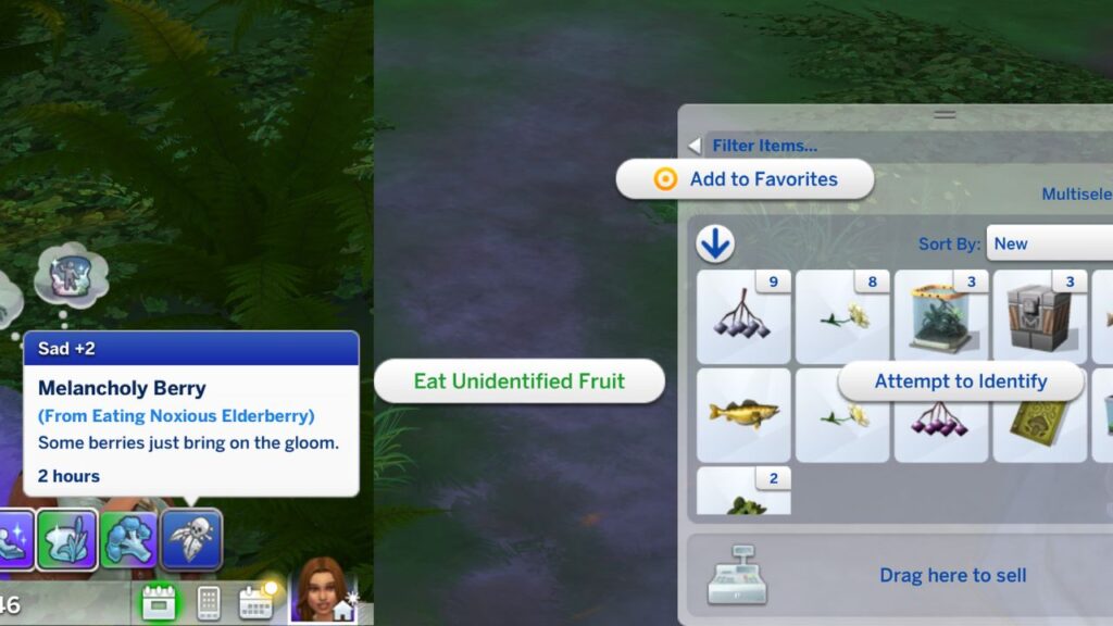 A screenshot from The Sims 4 showing how you can eat unidentified fruit and the moodlet you get from eating noxious elderberry
