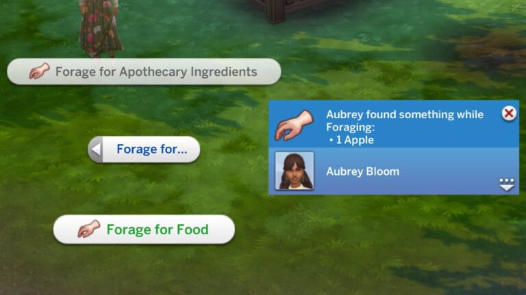 A screenshot from the sims 4 showing how to forage for food