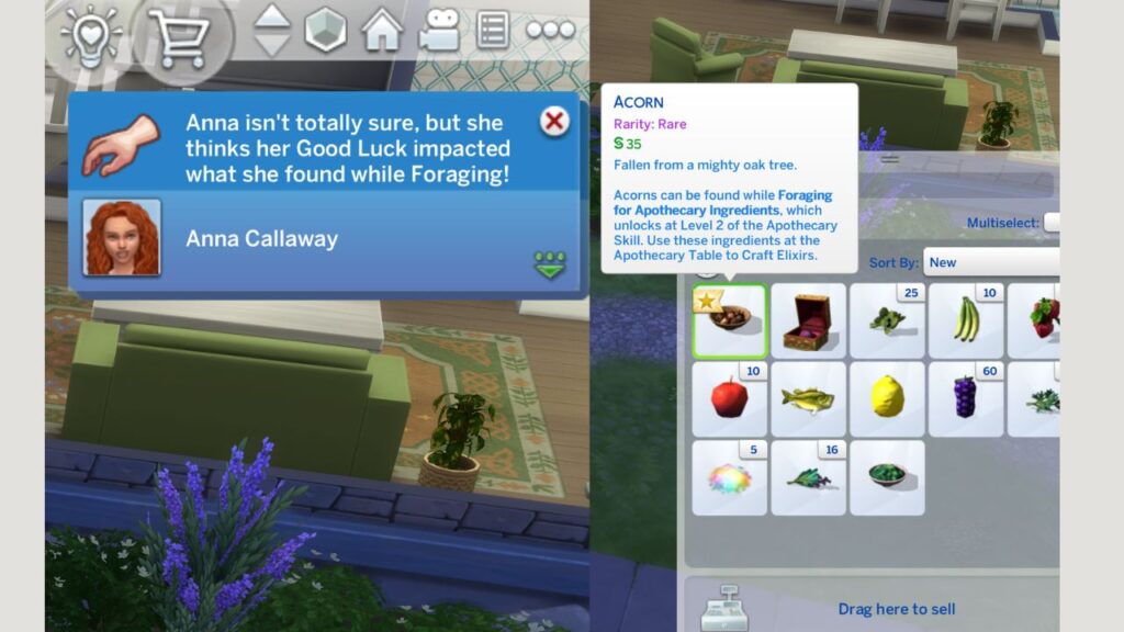 A screenshot from the sims 4 showing A SIM WITH DECENT LUCK AND AN ACORN IN their inventory