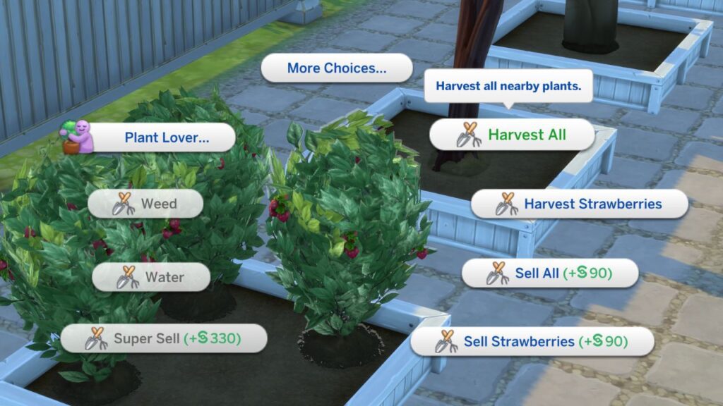 A screenshot from The Sims 4 showing the option to harvest a plant on their home lot