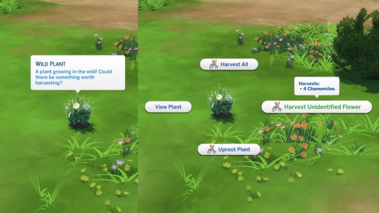 A screenshot from The Sims 4 showing the option to harvest an unidentified plant