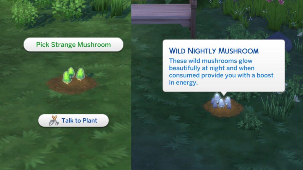 A screenshot from The Sims 4 showing Strange and Wild Nightly Mushrooms in Bramblewood