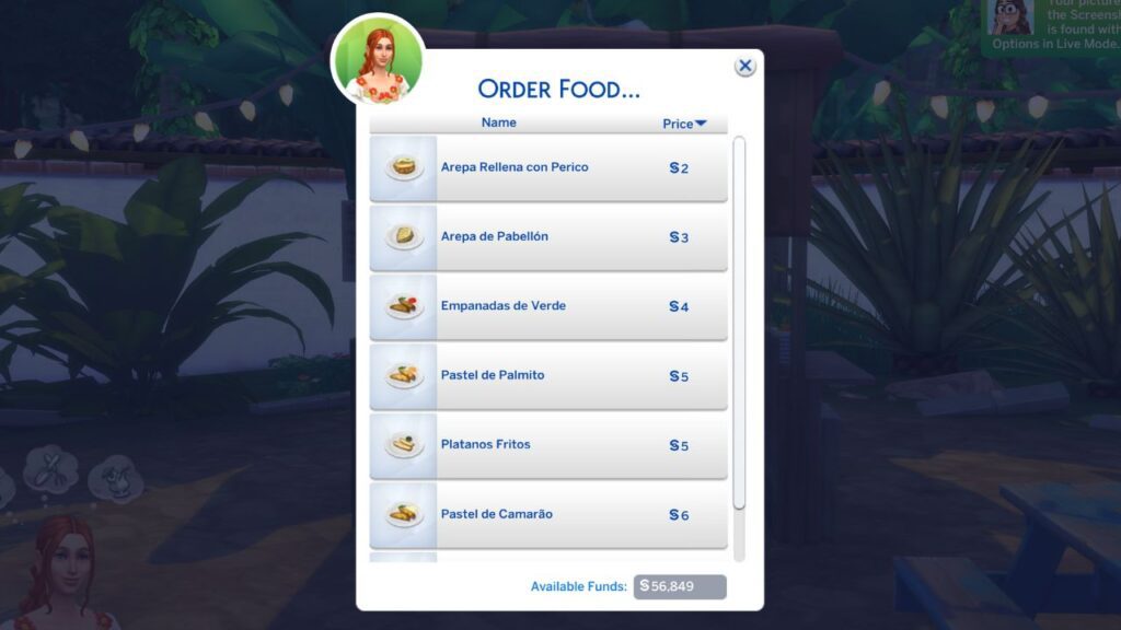 A screenshot from The Sims 4 showing the options for a sim to order a selvadoradian meal 