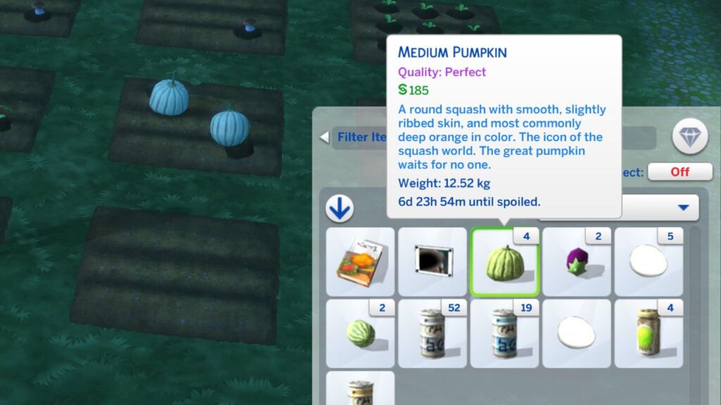 A screenshot from The Sims 4 showing a perfect quality oersized pumpkin