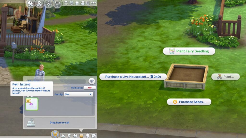 A screenshot from The Sims 4 showing how to plant a fairy seedling