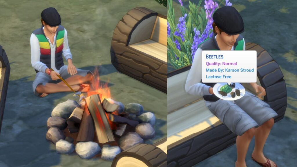 A screenshot from The Sims 4 showing a sim roasting beetles on a fire and then eating them