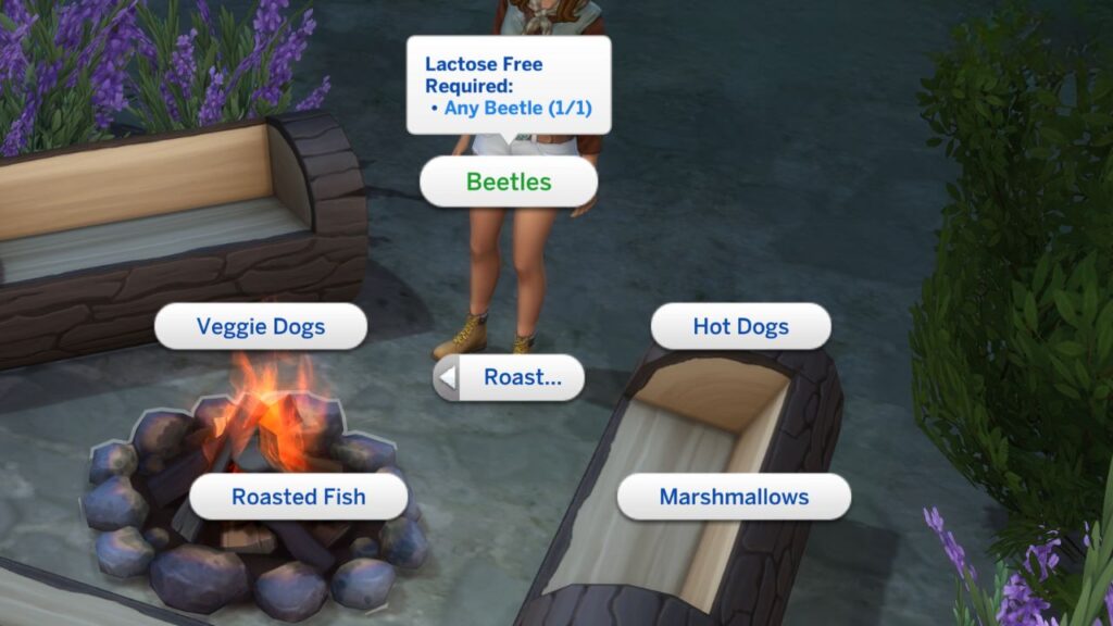 A screenshot from The Sims 4 showing how to roast beetles on a camp fire