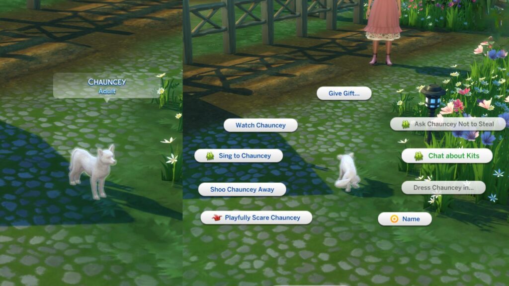 A screenshot from The Sims 4 showing how to socialize with a fox