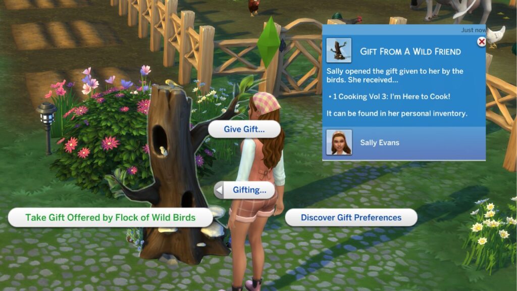 A screenshot from The Sims 4 showing the option to take a gift from a flock of birds