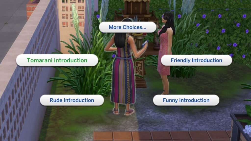 A screenshot from The Sims 4 showing the introduction menu on a sim with Tomarani Introduction