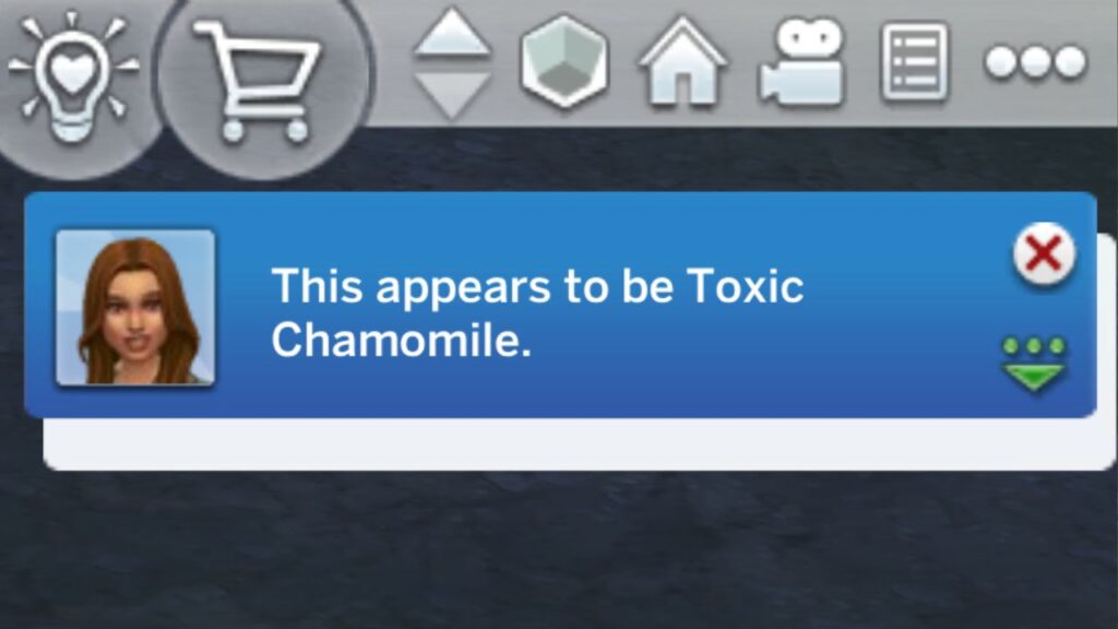 A screenshot from The Sims 4 showing the notification you get when you identify toxic chamomile