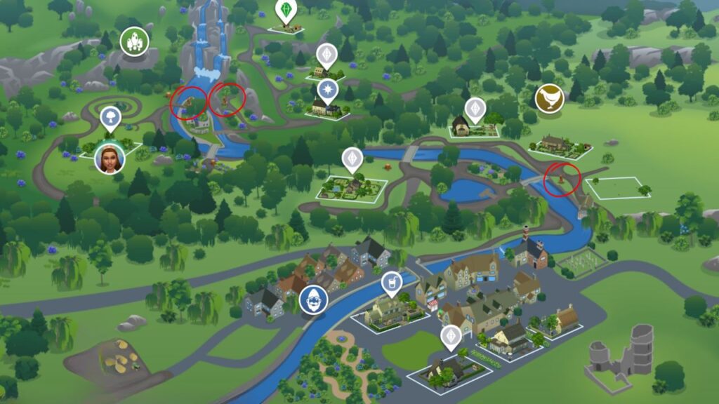 A screenshot from The Sims 4 showing the Henford-On-Bagley world map with the locations of wild birds circled