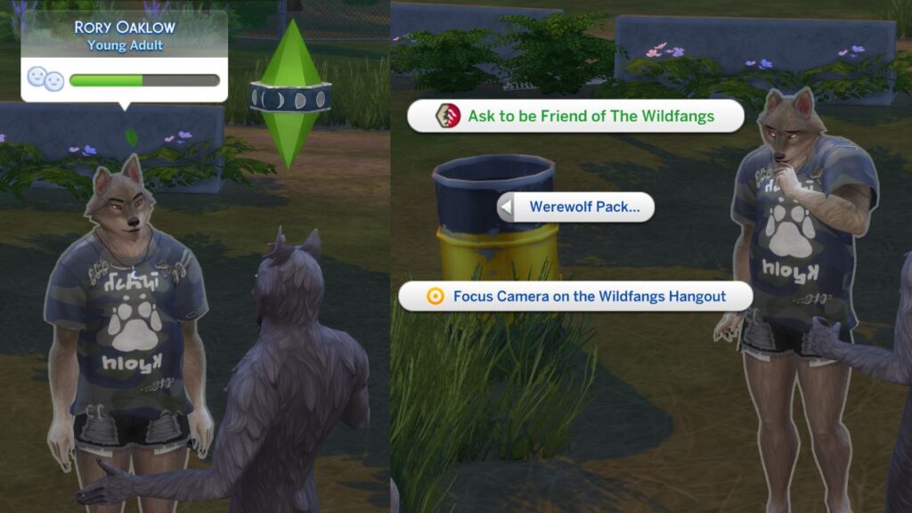 A screenshot from The Sims 4 showing how you can ask to be friend of The Wildfangs