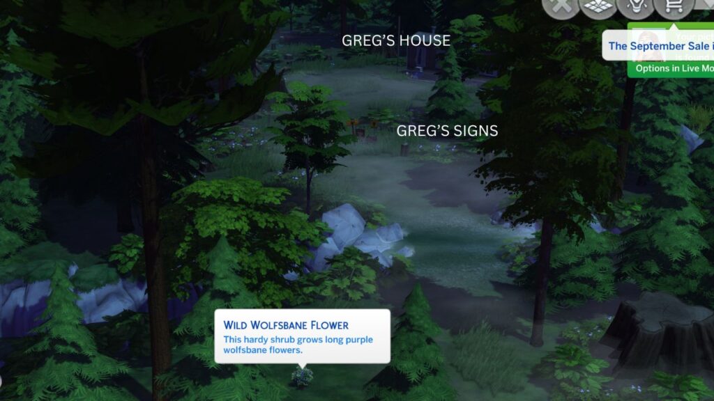 A screenshot from The Sims 4 showing the location of Wild Wolfsbane near Greg's 