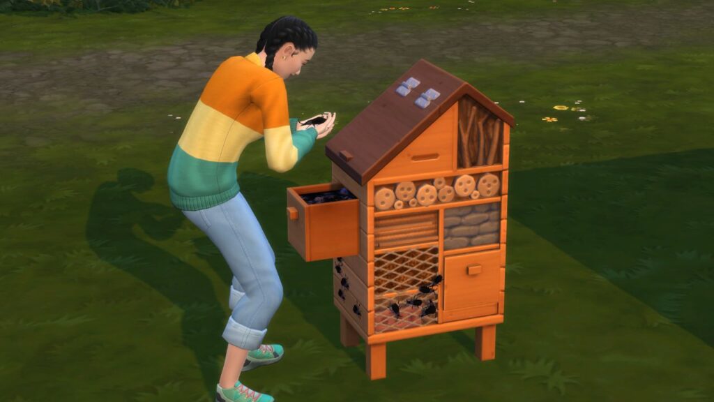 A screenshot from The Sims 4 showing a sim interacting with Grubs in an insect house 