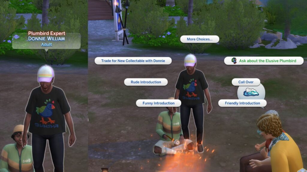 A screenshot from The Sims 4 showing the location of the Plumbird Expert with "ask about the elusive plumbird" highlighted 