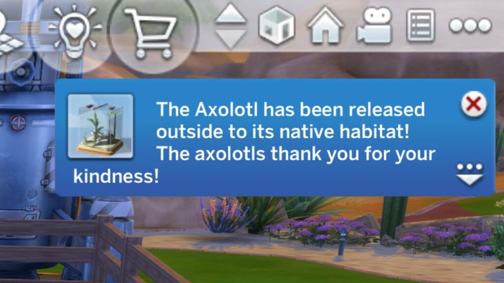 A screenshot from The Sims 4 showing the notification you get when you release an axolotl 
