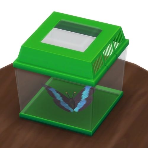 A screenshot from The Sims 4 showing a brown wooden table with a green insect container on top. Inside is a blue and black butterfly