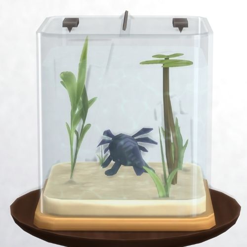 A screenshot from The Sims 4 showing a brown circle table with an axolotl habitat on top. Inside is a black melanoid axolotl 