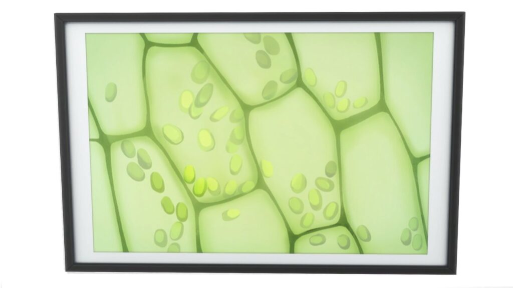 A screenshot from The Sims 4 of a black frame with an image of a plant under a microscope 