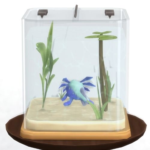 A screenshot from The Sims 4 showing a brown circle table with an axolotl habitat on top. Inside is a blue fluorescent axolotl